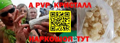 крисы Кингисепп