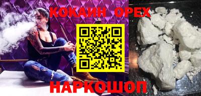 крисы Кингисепп