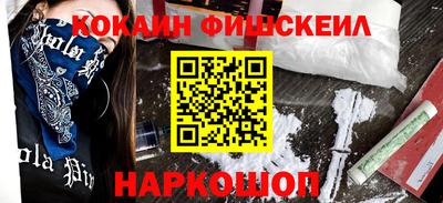 крисы Кингисепп