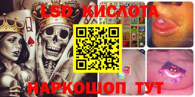 крисы Кингисепп
