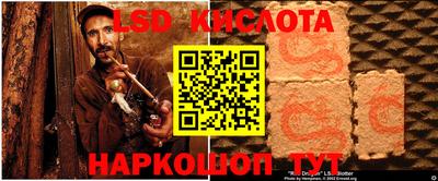 крисы Кингисепп