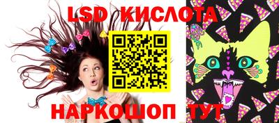 крисы Кингисепп