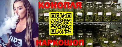 крисы Кингисепп