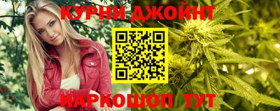 крисы Кингисепп