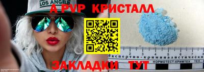 крисы Кингисепп