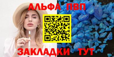 крисы Кингисепп