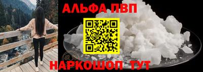 крисы Кингисепп