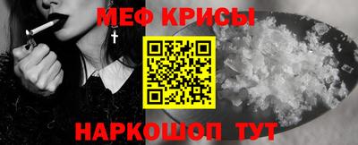 крисы Кингисепп