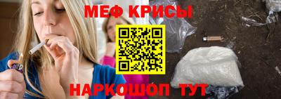 крисы Кингисепп