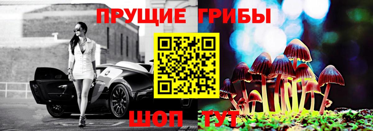 купить закладку  Псилоцибиновые грибы MAGIC MUSHROOMS  Галлюциногенные грибы ЛСД  Вход с VPN  Балтийск 